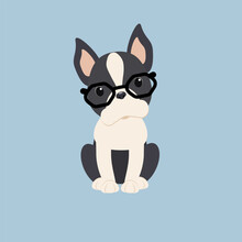 Vector Dog Breed Boston Terrier With Glasses