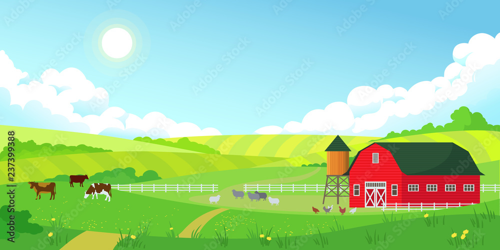 Colorful farm summer landscape, blue clear sky with sun, red barn, herd ...