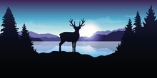 Reindeer By The Lake At Sunrise Blue Wildlife Nature Landscape Vector Illustration EPS10