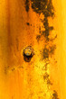 © likit - Background iron yellow with rust