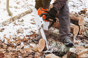 Wall Mural - Man hands holding an electric chainsaw, saws a tree in the forest. Deforestation. Modern technologies. Ecological problems. Earth Resources.