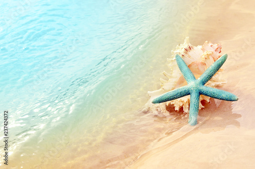 Plakat Rozgwiazda na plaży latem. Lato w tle. Tropikalna plaża piasek