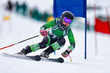 © Daniel Teetor - A giant slalom skier rounding a gate during a race.