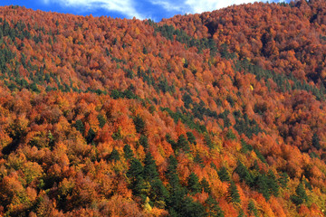 Wall Mural - autumn in the mountains