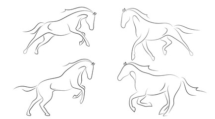 Canvas Print - Black line horse on white background. Running horse sketch style. Vector graphic icon animal.