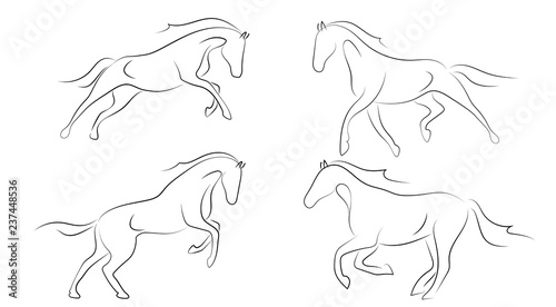 Photographie Black line horse on white background