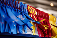 Horse Show Ribbons Flying In The Wind