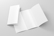 © dimamoroz - Blank trifold brochure A4 booklet