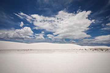 Poster - white sands 