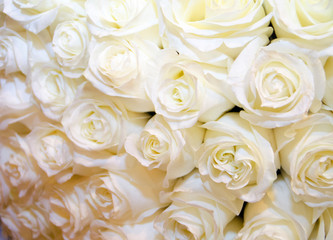  Bouquet of white roses