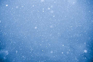 Falling down real snowflakes, blue toned image. Background of abstract particles. Texture of snow or rain.