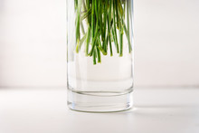 Green Stems Of Flowers In A Glass Vase With Water On A White Background, Close-up View.