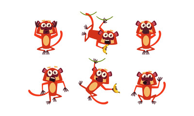 Sticker - Flat vector set of brown lemur with various emotions. Monkey in different poses. Wild animal. Funny cartoon character