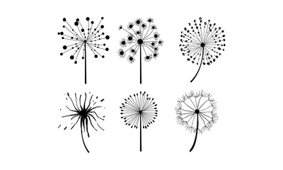  Vector set of 6 dandelions in linear style. Flower with fluffy seeds. Floral theme