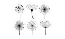 Vector Set Of 6 Linear Dandelion Flowers With Fluffy Seeds. Floral Theme. Decorative Elements For Postcard Or Notebook