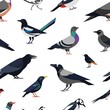 Seamless pattern with city synanthrope and wild forest birds on white background. Trendy ornithological vector illustration in modern geometric flat style for wrapping paper, textile print, wallpaper.