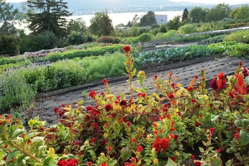 garten in zollikon im kanton Zürich in der schweiz