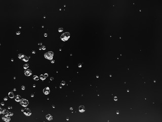 Poster - Water splash on a black background