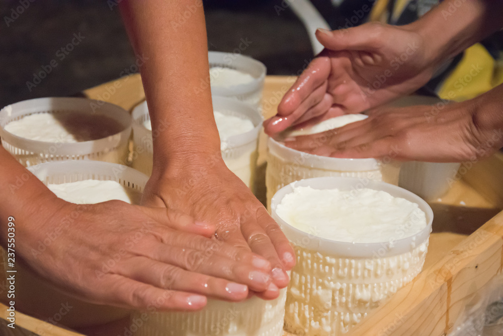 Hands making fresh cheese in traditional artisanal process - obrazy, fototapety, plakaty 