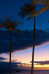 Wall Mural - Colorful sunset through palm trees with boats in the background, Maui, Hawaii, USA