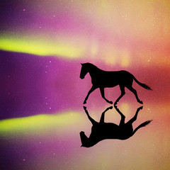 Poster - Running horse in park at night. Vector illustration with silhouette of beautiful running animal reflected in water. Northern lights in starry sky. Colorful aurora borealis.