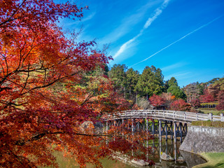 【静岡県伊豆市】秋の日本庭園【紅葉・修善寺虹の郷】