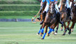 Selective focus the Horse polo players