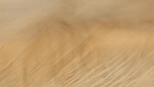 Desert Sand Dunes With Stormy Winds And Abstract Sand Movement And Formations While The Wind Blows The Grains And Streaks In The Air At Playa Ingles Gran Canaria Spain