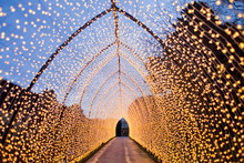 Tunnel Formed By Christmas Lights. Warm Light, Fairy Light, Lanterns Creating A Tunnel In The City 's Botanic Garden In Vinter