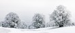 © imageBROKER - Winter landscpae, frozen trees in winter, Mont Saleve, Archamps, France, Europe