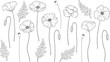 Poppy flowers. Papáver. Stems and leaves. Big set of elements for design. Hand drawn vector illustration. Monochrome black and white ink sketch. Line art. Isolated on white background. Coloring page