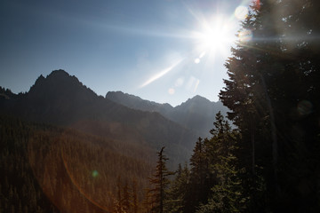 Wall Mural - Lost in the woods, what else can I ask? Trapped by its beauty and breathing its soul. Lost in the mountains, higher than the clouds, cuddle by the wind, and amazed by the sun.