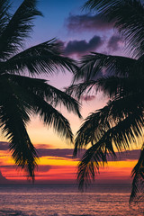 A Picturesque Sunset View of the Sea Framed by Palm Trees