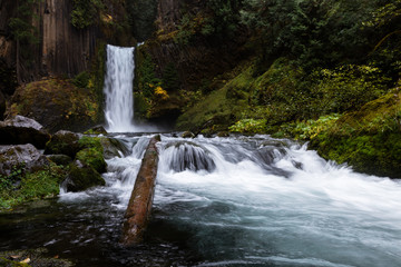 Wall Mural - Toketee Falls, Umpqua National Forest, Oregon