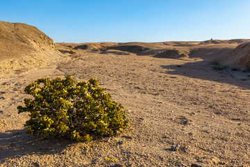 Moon Landscape, an area of the Namib Desert on the Namibian Skeleton coast that looks like the moon.