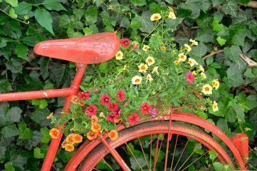 Poster - Rotes Fahrrad mit Blumenschmuck