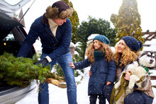 Father Brought Christmas Tree In Large Trunk Of SUV Car. Daughter, Mother And Dog Meet Dad Happily Help Him With Holidays Home Decorations. Family Prepares For New Year Together. Snowy Winter Outdoors