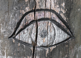 Inlaid eye on the bark of a tree