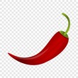Red chilli pepper icon. Cartoon of red chilli pepper vector icon for web design  