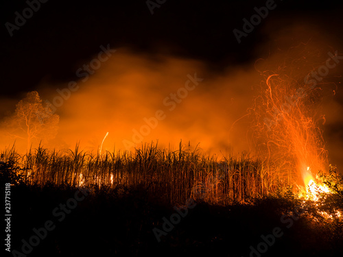 Zdjęcie XXL Pożary lasów