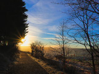 Wall Mural - der sonne entgegen - der weg ist das ziel