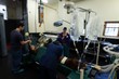 © Wavebreak Media - Surgeons operating a horse in operation theatre