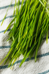 Raw Green Organic Wheat Grass