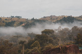Fototapeta Natura - Neblina no sitio