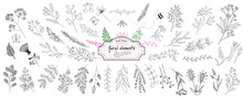 Hand Drawn Collection Of Rustic And Floral Design Elements. Tree Branches, Flowers, Plants And Leaves Ink Silhouettes. Isolated Vector On White Background