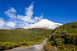 The Path to Mt. Taranaki