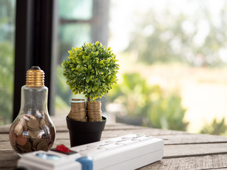 Wall Mural - light bulb with coin and tree on wood table. concept of cost reduction and reduce energy. the use of