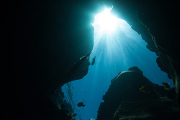 Photo taken while freediving into an underwater cave and looking up towards the brilliant sunlight filtering down through the blue Hawaiian water