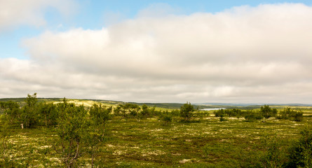 Wall Mural - Tundra, coastline of Barents sea in northern polar summer. Arctic ocean, Kola Peninsula, Russia