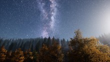 Milky Way Stars With Moonlight Above Pine Trees Forest
